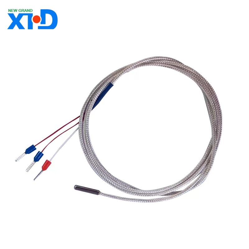 PT100 Thermocouple